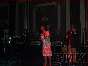 sanatci organizasyon organizasyonu bmk