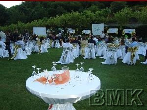 kurumsal organizasyon bmk